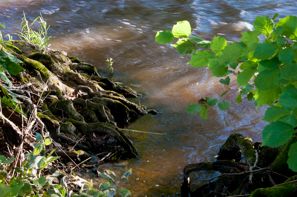 Naturfotohelg4