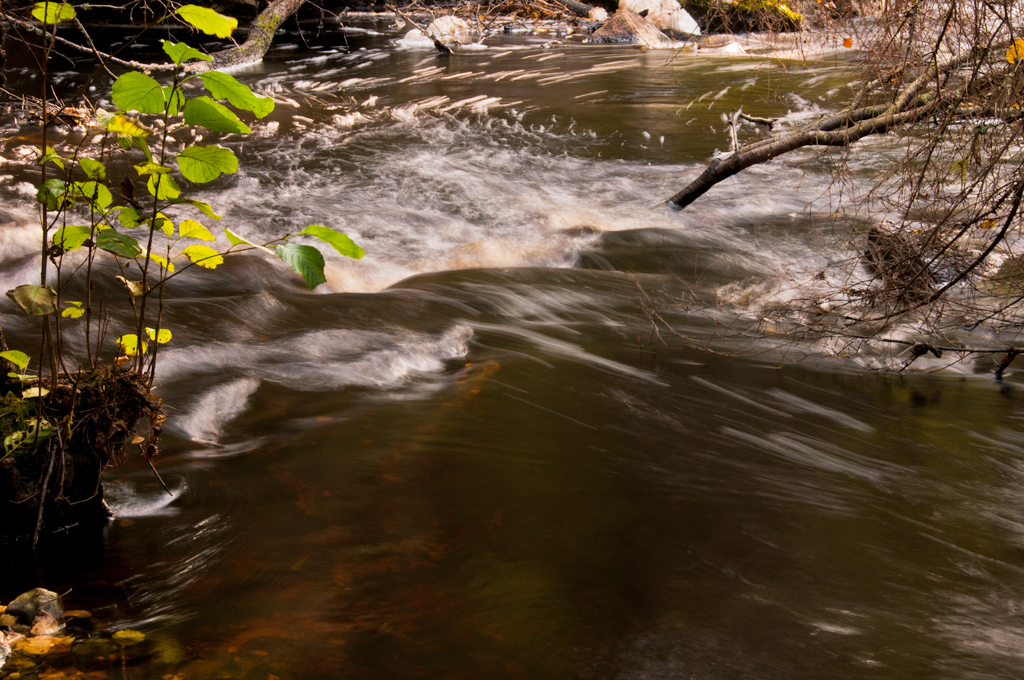 Naturfotohelg12