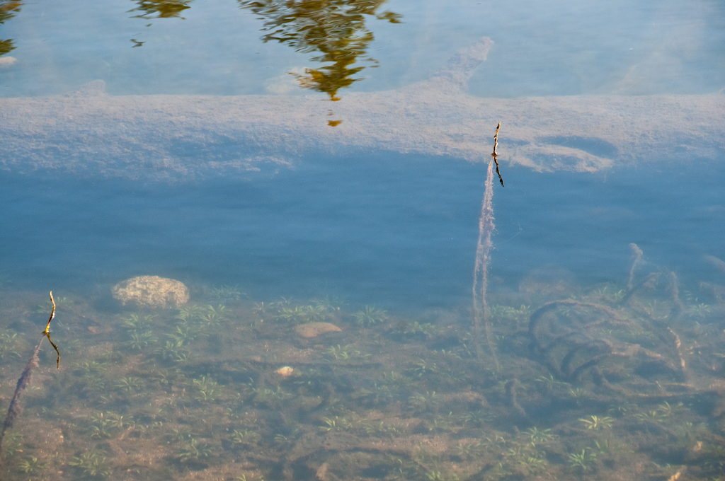 Naturfotohelg13